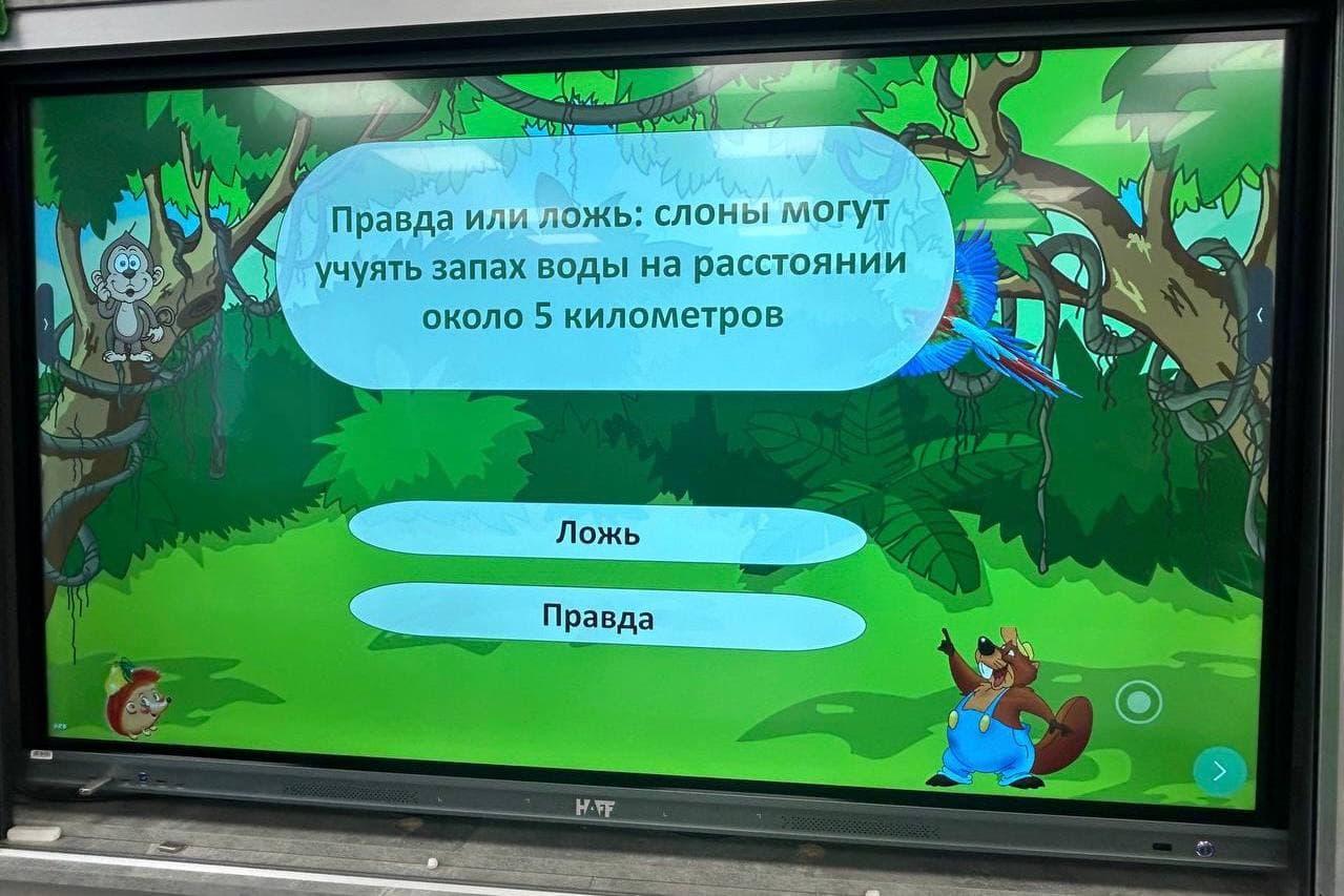 5269747086775750985.jpg 5269747086775750985.jpg